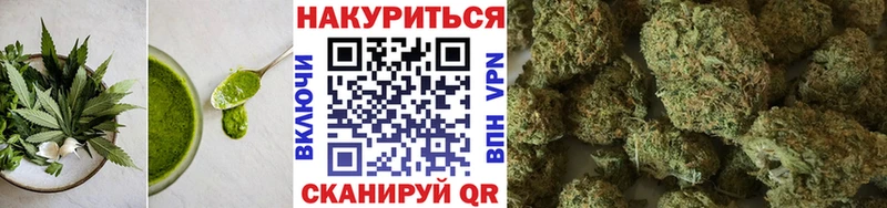 Canna-Cookies марихуана  купить  цена  Княгинино 