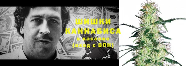 дмт Рославль