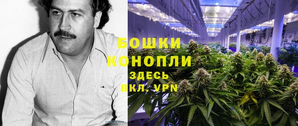 бошки Гатчина
